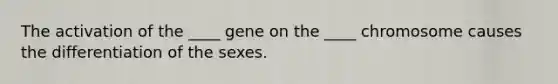 The activation of the ____ gene on the ____ chromosome causes the differentiation of the sexes.