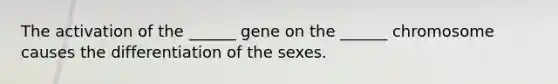 The activation of the ______ gene on the ______ chromosome causes the differentiation of the sexes.