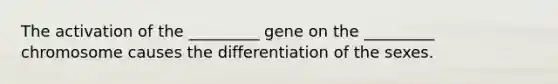 The activation of the _________ gene on the _________ chromosome causes the differentiation of the sexes.