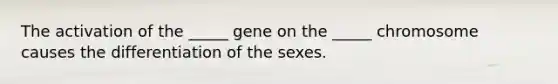 The activation of the _____ gene on the _____ chromosome causes the differentiation of the sexes.