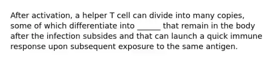 After activation, a helper T cell can divide into many copies, some of which differentiate into ______ that remain in the body after the infection subsides and that can launch a quick immune response upon subsequent exposure to the same antigen.