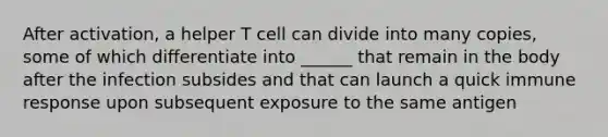 After activation, a helper T cell can divide into many copies, some of which differentiate into ______ that remain in the body after the infection subsides and that can launch a quick immune response upon subsequent exposure to the same antigen