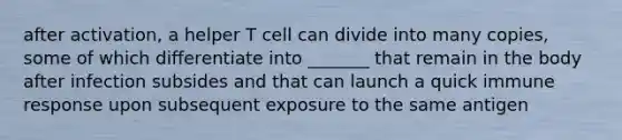 after activation, a helper T cell can divide into many copies, some of which differentiate into _______ that remain in the body after infection subsides and that can launch a quick immune response upon subsequent exposure to the same antigen