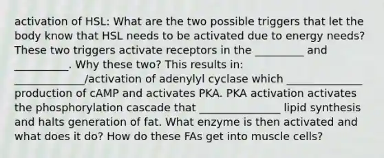 activation of HSL: What are the two possible triggers that let the body know that HSL needs to be activated due to energy needs? These two triggers activate receptors in the _________ and __________. Why these two? This results in: _____________/activation of adenylyl cyclase which ______________ production of cAMP and activates PKA. PKA activation activates the phosphorylation cascade that _______________ lipid synthesis and halts generation of fat. What enzyme is then activated and what does it do? How do these FAs get into muscle cells?