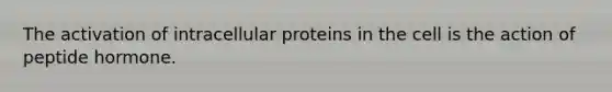 The activation of intracellular proteins in the cell is the action of peptide hormone.