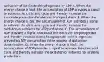 activation of isocitrate dehydrogenase by ADP A. When the energy charge is high, the accumulation of ADP provides a signal to activate the citric acid cycle and thereby increase the succinate production for electron transport chain. B. When the energy charge is low, the accumulation of ADP provides a signal to activate the citric acid cycle and thereby increase the oxidation of nutrients for ATP production. C. The accumulation of ADP provides a signal to activate the isocitrate dehydrogenase and thereby increase alpha-ketoglutarate level in organism preventing ATP consumption in the process of glutamine desamination. D. When the energy charge is high, the accumulation of ADP provides a signal to activate the citric acid cycle and thereby increase the oxidation of nutrients for proteins production.