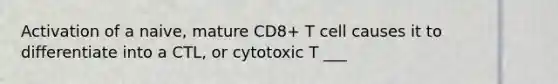 Activation of a naive, mature CD8+ T cell causes it to differentiate into a CTL, or cytotoxic T ___