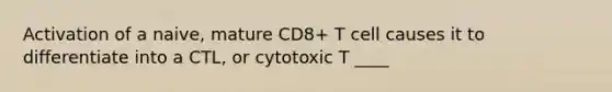 Activation of a naive, mature CD8+ T cell causes it to differentiate into a CTL, or cytotoxic T ____