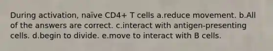 During activation, naïve CD4+ T cells a.reduce movement. b.All of the answers are correct. c.interact with antigen-presenting cells. d.begin to divide. e.move to interact with B cells.