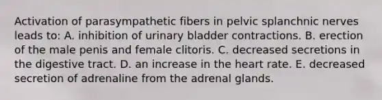 Activation of parasympathetic fibers in pelvic splanchnic nerves leads to: A. inhibition of urinary bladder contractions. B. erection of the male penis and female clitoris. C. decreased secretions in the digestive tract. D. an increase in <a href='https://www.questionai.com/knowledge/kya8ocqc6o-the-heart' class='anchor-knowledge'>the heart</a> rate. E. decreased secretion of adrenaline from the adrenal glands.