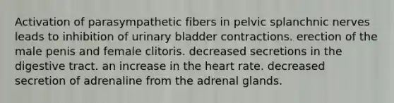 Activation of parasympathetic fibers in pelvic splanchnic nerves leads to inhibition of urinary bladder contractions. erection of the male penis and female clitoris. decreased secretions in the digestive tract. an increase in the heart rate. decreased secretion of adrenaline from the adrenal glands.