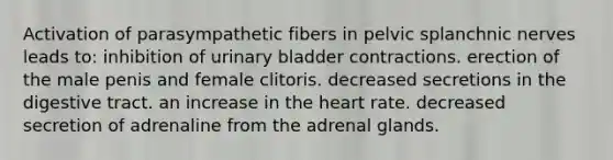 Activation of parasympathetic fibers in pelvic splanchnic nerves leads to: inhibition of urinary bladder contractions. erection of the male penis and female clitoris. decreased secretions in the digestive tract. an increase in the heart rate. decreased secretion of adrenaline from the adrenal glands.