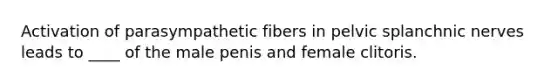 Activation of parasympathetic fibers in pelvic splanchnic nerves leads to ____ of the male penis and female clitoris.