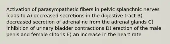 Activation of parasympathetic fibers in pelvic splanchnic nerves leads to A) decreased secretions in the digestive tract B) decreased secretion of adrenaline from the adrenal glands C) inhibition of urinary bladder contractions D) erection of the male penis and female clitoris E) an increase in the heart rate