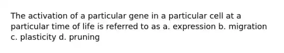 The activation of a particular gene in a particular cell at a particular time of life is referred to as a. expression b. migration c. plasticity d. pruning