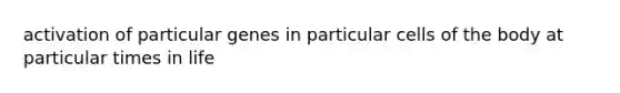 activation of particular genes in particular cells of the body at particular times in life