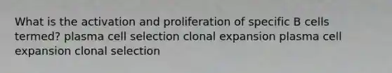 What is the activation and proliferation of specific B cells termed? plasma cell selection clonal expansion plasma cell expansion clonal selection