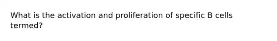 What is the activation and proliferation of specific B cells termed?