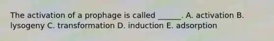 The activation of a prophage is called ______. A. activation B. lysogeny C. transformation D. induction E. adsorption