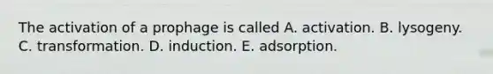 The activation of a prophage is called A. activation. B. lysogeny. C. transformation. D. induction. E. adsorption.