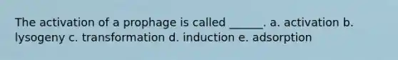 The activation of a prophage is called ______. a. activation b. lysogeny c. transformation d. induction e. adsorption