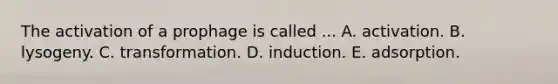 The activation of a prophage is called ... A. activation. B. lysogeny. C. transformation. D. induction. E. adsorption.