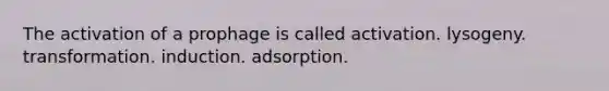 The activation of a prophage is called activation. lysogeny. transformation. induction. adsorption.