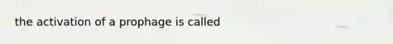 the activation of a prophage is called