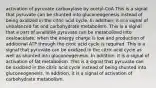 activation of pyruvate carboxylase by acetyl-CoA This is a signal that pyruvate can be shunted into gluconeogenesis instead of being oxidized in the citric acid cycle. In addition, it is a signal of unbalanced fat and carbohydrate metabolism. This is a signal that a part of available pyruvate can be metabolized into oxaloacetate, when the energy charge is low and production of additional ATP through the citric acid cycle is required. This is a signal that pyruvate can be oxidized in the citric acid cycle as well as shunted into gluconeogenesis. In addition, it is a signal of activation of fat metabolism. This is a signal that pyruvate can be oxidized in the citric acid cycle instead of being shunted into gluconeogenesis. In addition, it is a signal of activation of carbohydrate metabolism.