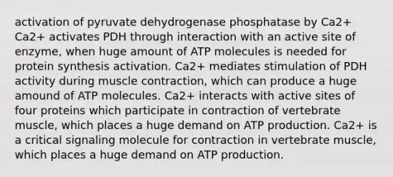 activation of pyruvate dehydrogenase phosphatase by Ca2+ Ca2+ activates PDH through interaction with an active site of enzyme, when huge amount of ATP molecules is needed for protein synthesis activation. Ca2+ mediates stimulation of PDH activity during muscle contraction, which can produce a huge amound of ATP molecules. Ca2+ interacts with active sites of four proteins which participate in contraction of vertebrate muscle, which places a huge demand on ATP production. Ca2+ is a critical signaling molecule for contraction in vertebrate muscle, which places a huge demand on ATP production.