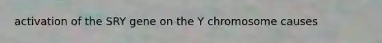 activation of the SRY gene on the Y chromosome causes