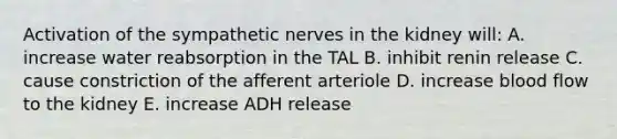 Activation of the sympathetic nerves in the kidney will: A. increase water reabsorption in the TAL B. inhibit renin release C. cause constriction of the afferent arteriole D. increase blood flow to the kidney E. increase ADH release