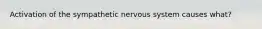 Activation of the sympathetic nervous system causes what?