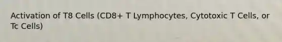 Activation of T8 Cells (CD8+ T Lymphocytes, Cytotoxic T Cells, or Tc Cells)