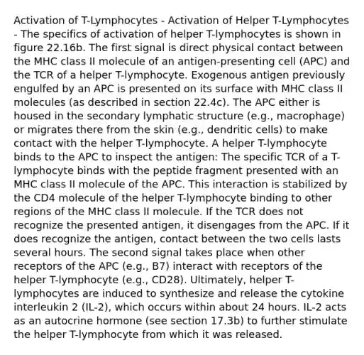 Activation of T-Lymphocytes - Activation of Helper T-Lymphocytes - The specifics of activation of helper T-lymphocytes is shown in figure 22.16b. The first signal is direct physical contact between the MHC class II molecule of an antigen-presenting cell (APC) and the TCR of a helper T-lymphocyte. Exogenous antigen previously engulfed by an APC is presented on its surface with MHC class II molecules (as described in section 22.4c). The APC either is housed in the secondary lymphatic structure (e.g., macrophage) or migrates there from the skin (e.g., dendritic cells) to make contact with the helper T-lymphocyte. A helper T-lymphocyte binds to the APC to inspect the antigen: The specific TCR of a T-lymphocyte binds with the peptide fragment presented with an MHC class II molecule of the APC. This interaction is stabilized by the CD4 molecule of the helper T-lymphocyte binding to other regions of the MHC class II molecule. If the TCR does not recognize the presented antigen, it disengages from the APC. If it does recognize the antigen, contact between the two cells lasts several hours. The second signal takes place when other receptors of the APC (e.g., B7) interact with receptors of the helper T-lymphocyte (e.g., CD28). Ultimately, helper T-lymphocytes are induced to synthesize and release the cytokine interleukin 2 (IL-2), which occurs within about 24 hours. IL-2 acts as an autocrine hormone (see section 17.3b) to further stimulate the helper T-lymphocyte from which it was released.