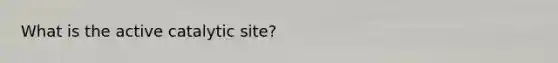 What is the active catalytic site?