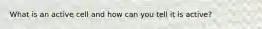 What is an active cell and how can you tell it is active?