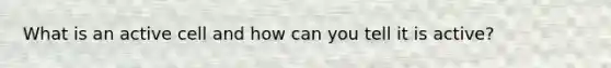 What is an active cell and how can you tell it is active?