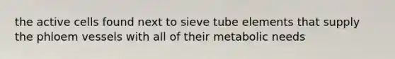 the active cells found next to sieve tube elements that supply the phloem vessels with all of their metabolic needs