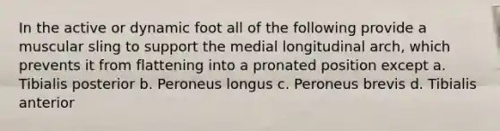 In the active or dynamic foot all of the following provide a muscular sling to support the medial longitudinal arch, which prevents it from flattening into a pronated position except a. Tibialis posterior b. Peroneus longus c. Peroneus brevis d. Tibialis anterior