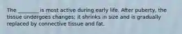 The ________ is most active during early life. After puberty, the tissue undergoes changes; it shrinks in size and is gradually replaced by connective tissue and fat.