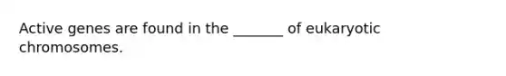 Active genes are found in the _______ of eukaryotic chromosomes.