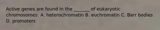 Active genes are found in the _______ of eukaryotic chromosomes. A. heterochromatin B. euchromatin C. Barr bodies D. promoters