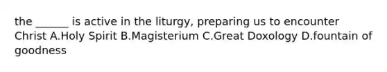 the ______ is active in the liturgy, preparing us to encounter Christ A.Holy Spirit B.Magisterium C.Great Doxology D.fountain of goodness