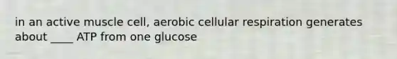 in an active muscle cell, aerobic cellular respiration generates about ____ ATP from one glucose