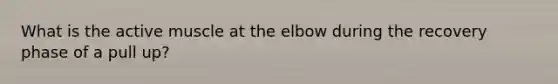 What is the active muscle at the elbow during the recovery phase of a pull up?