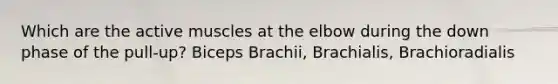 Which are the active muscles at the elbow during the down phase of the pull-up? Biceps Brachii, Brachialis, Brachioradialis
