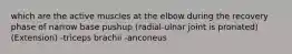 which are the active muscles at the elbow during the recovery phase of narrow base pushup (radial-ulnar joint is pronated) (Extension) -triceps brachii -anconeus