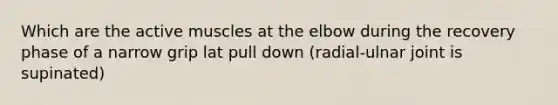 Which are the active muscles at the elbow during the recovery phase of a narrow grip lat pull down (radial-ulnar joint is supinated)