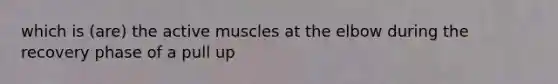 which is (are) the active muscles at the elbow during the recovery phase of a pull up